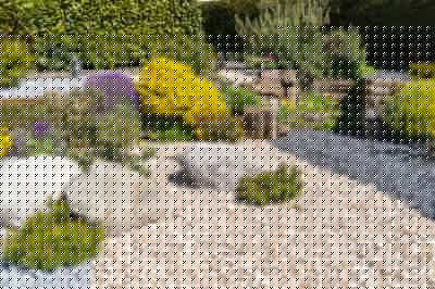 Decorative Rock Installation