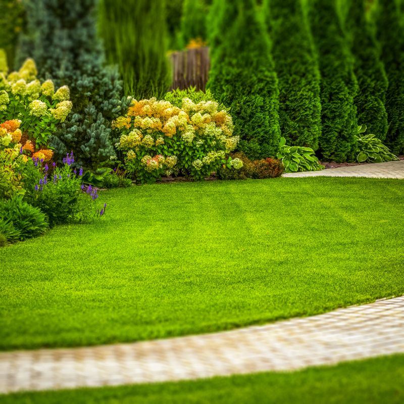 Lawn & Garden