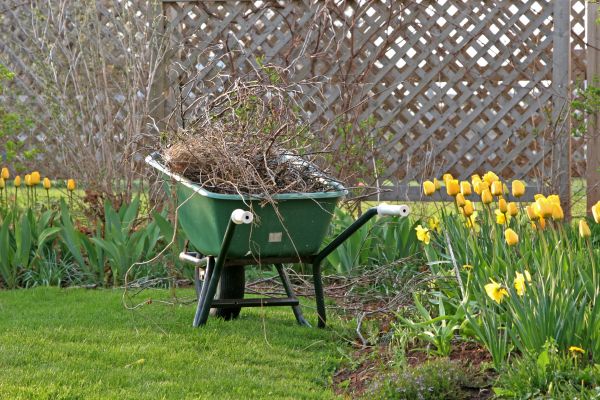 Flower Bed Cleanup Service in Cleveland