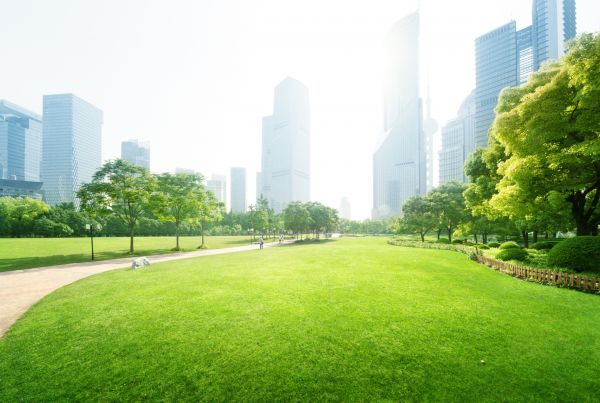 Commercial Landscape Maintenance in Cleveland