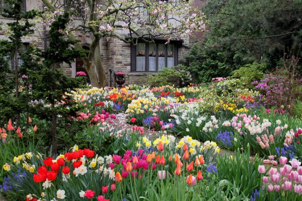 Garden Maintenance Service in Cleveland