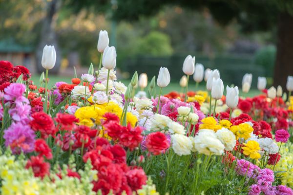 Gardening Service in Cleveland