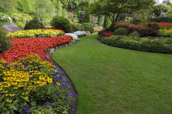Landscaping Maintenance in Cleveland