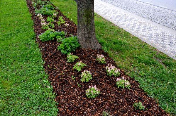 Mulch Replacement Service in Cleveland