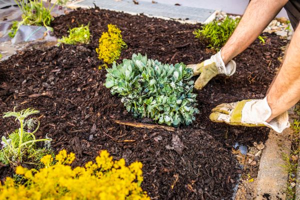 Weeding And Mulching in Cleveland