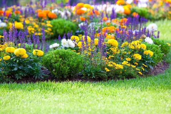 Garden Installation in Cleveland