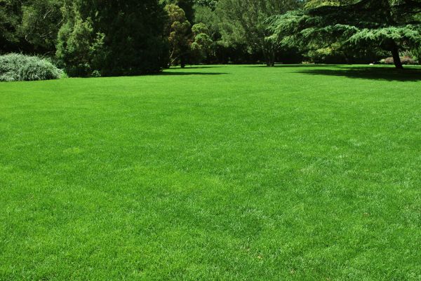 Lawn Landscaping in Cleveland