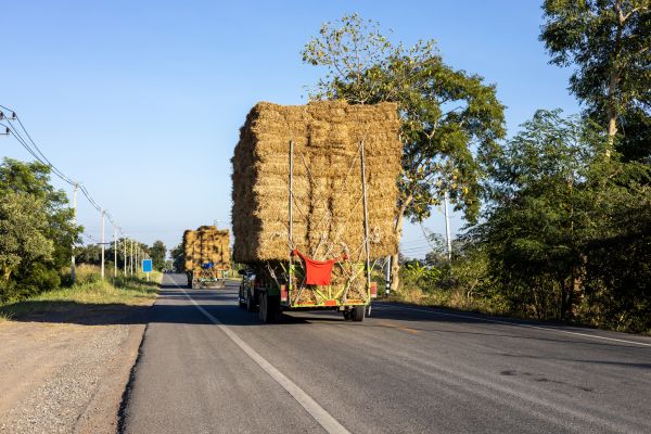 Pine Straw Delivery in Cleveland