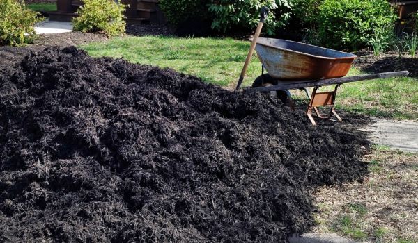 Black Mulch Delivery in Cleveland