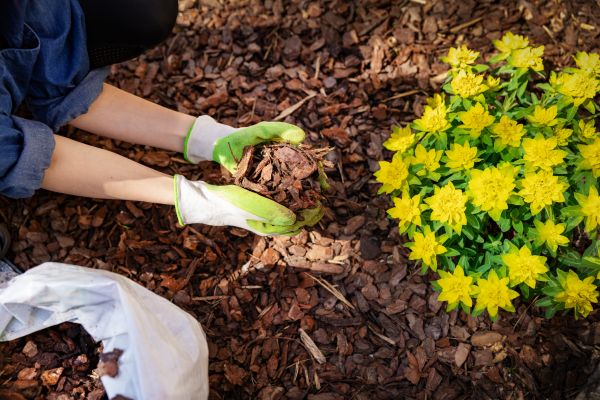 Garden Mulching in Cleveland