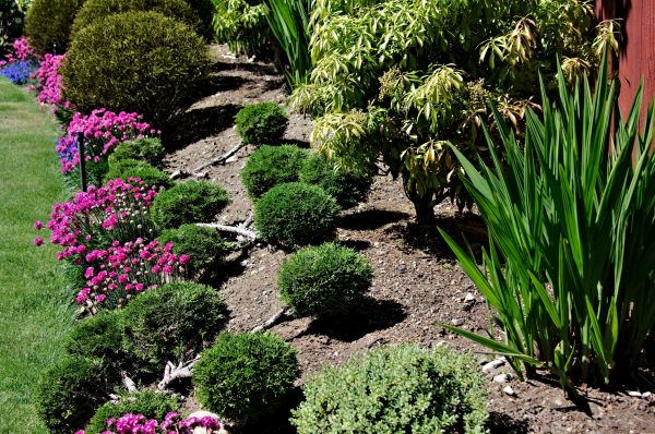 Residential Gardening in Cleveland
