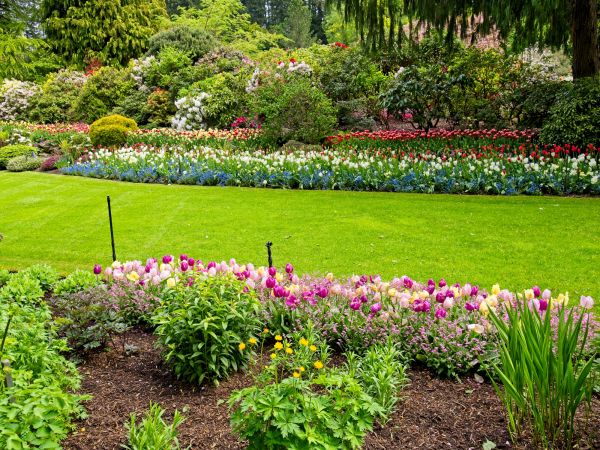 Residential Landscape Design in Cleveland