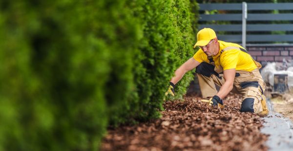 Cypress Mulch Installation in Cleveland