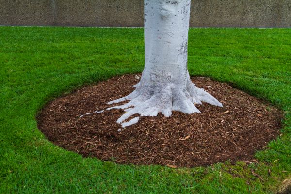 Brown Mulch Installation in Cleveland