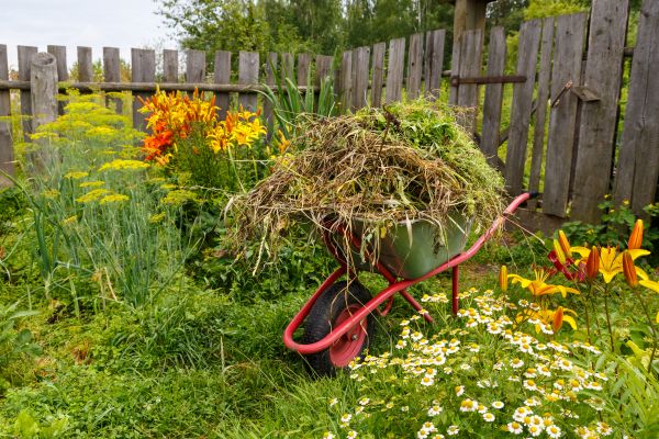 Garden Cleanup Service in Cleveland