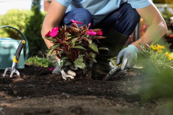Plant Installation in Cleveland