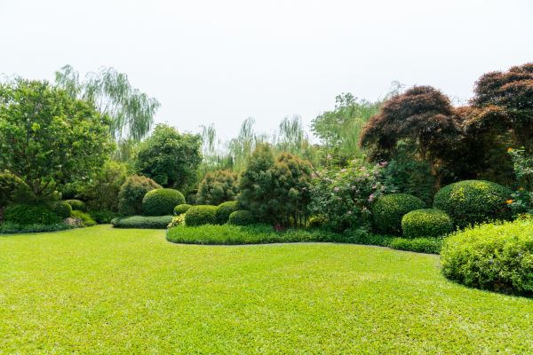 Tree Landscaping in Cleveland