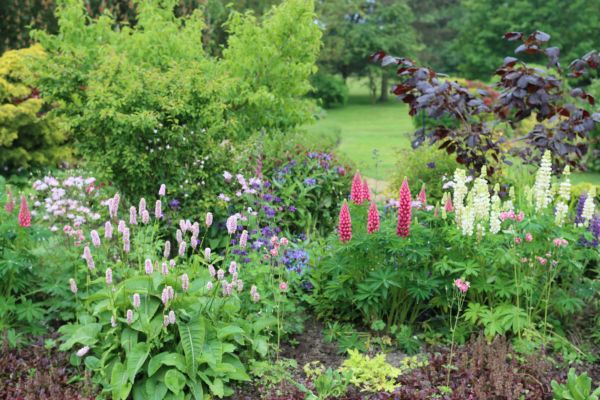 Flower Bed Planting in Cleveland