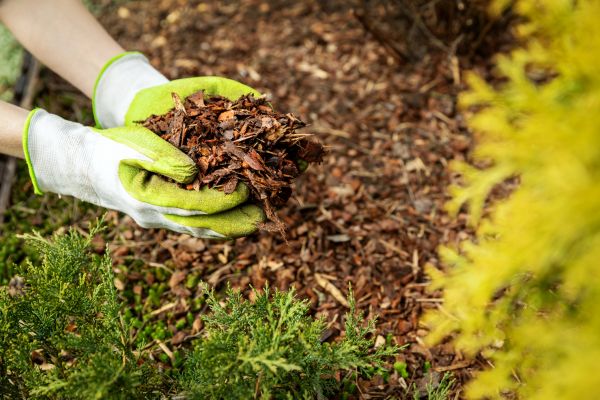Garden Mulch Delivery in Cleveland