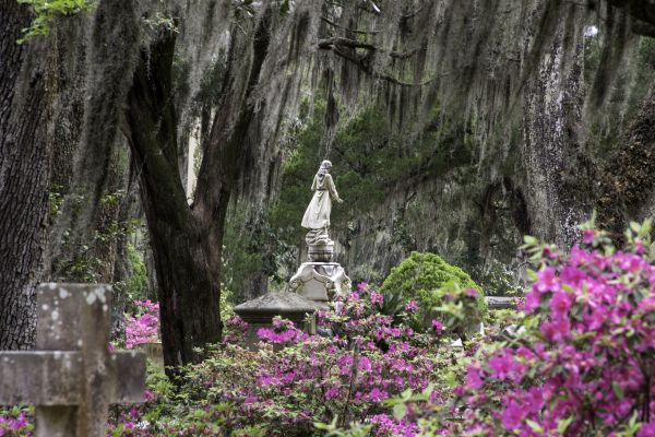 Cemetery Landscaping in Cleveland