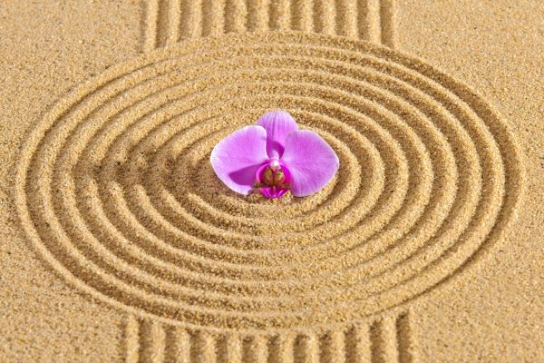 Sand Garden Landscaping in Cleveland