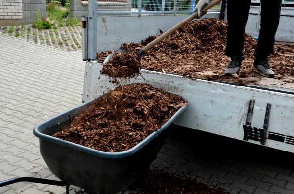 Cypress Mulch Delivery in Cleveland