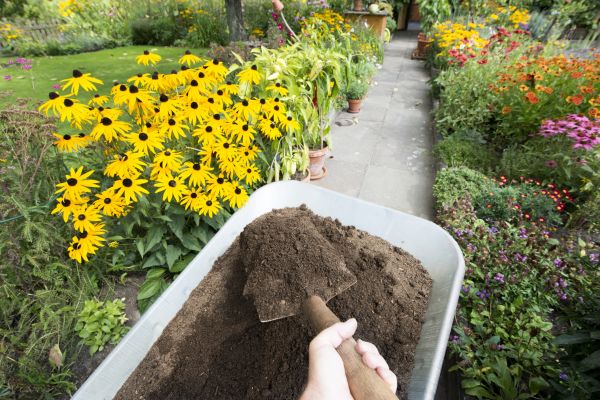 Topsoil Replacement in Cleveland