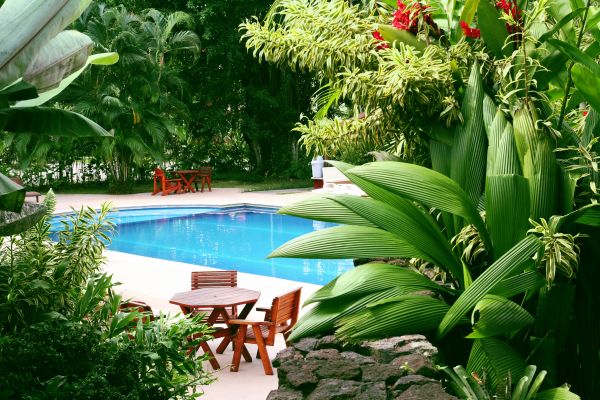 Pool Area Landscaping in Cleveland