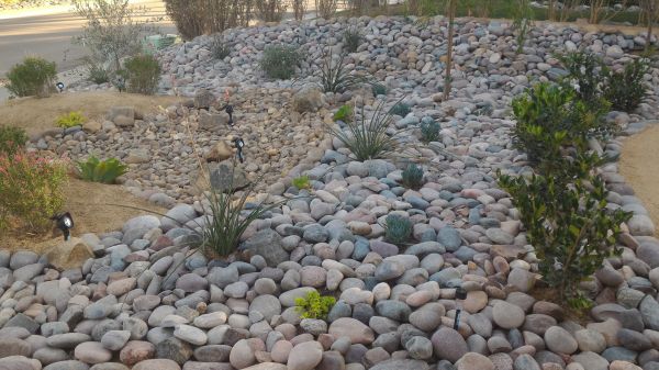 Yard Xeriscaping in Cleveland