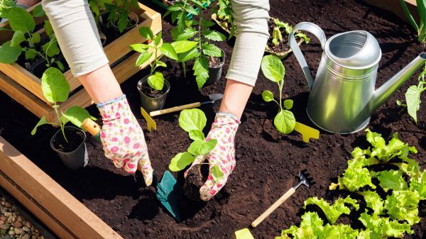 Garden Bed Installation in Cleveland
