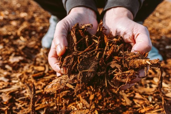 Bark Chips Delivery in Cleveland