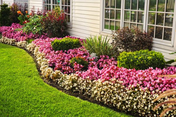 House Landscaping in Cleveland