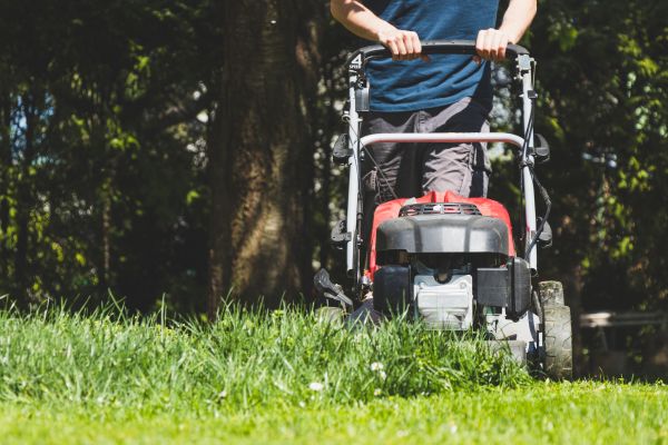Garden Trimming Service in Cleveland