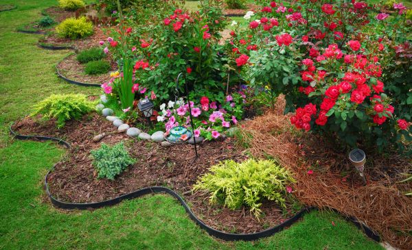 Floral Landscaping in Cleveland