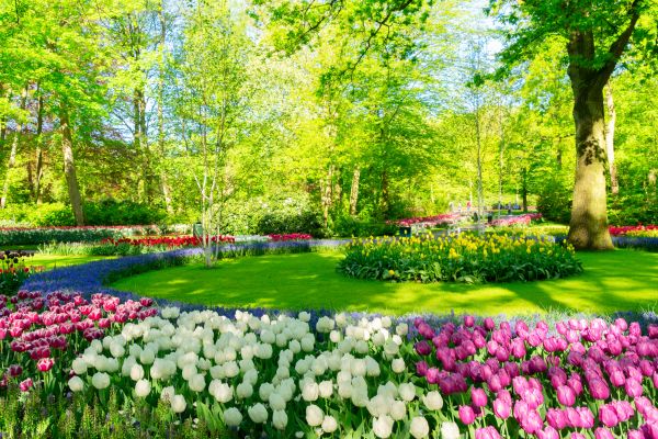 Flower Landscaping in Cleveland