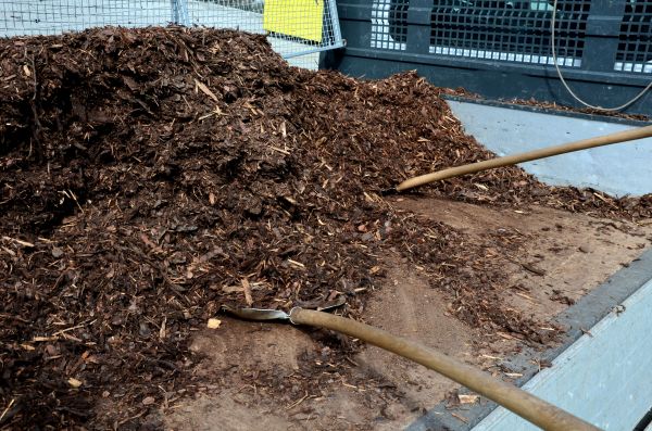 Cedar Bark Delivery in Cleveland