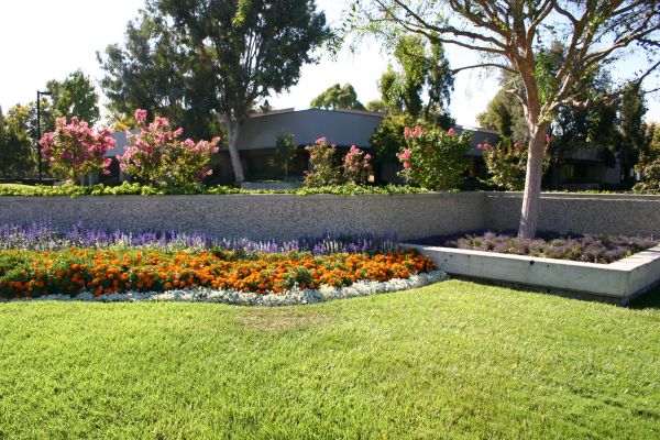 Commercial Landscape Service in Cleveland