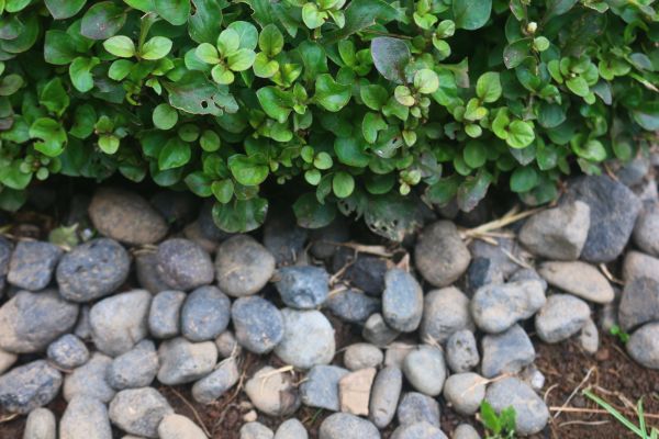 River Stone Installation in Cleveland