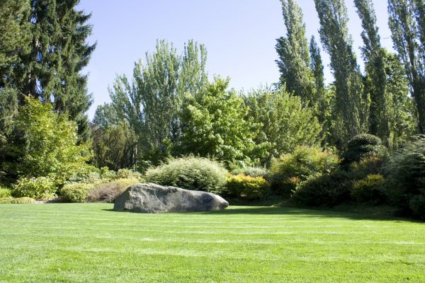 Yard Enlargement in Cleveland