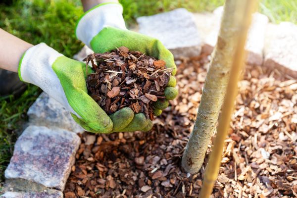 Tree Bark Delivery in Cleveland