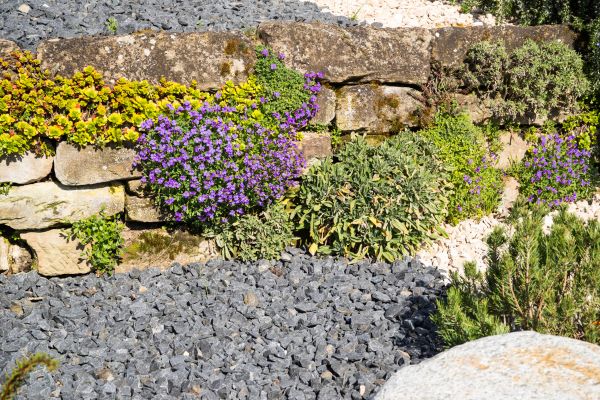 Landscaping Rocks Installation in Cleveland