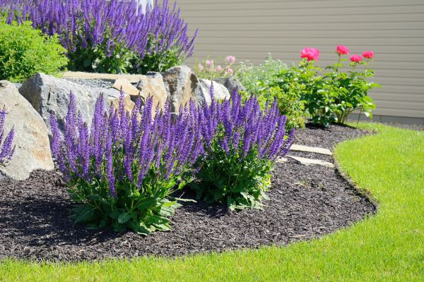 Landscape Planting Service in Cleveland