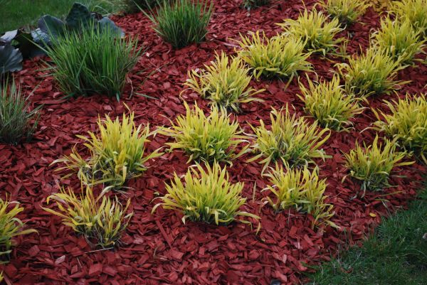 Red Mulch Installation in Cleveland