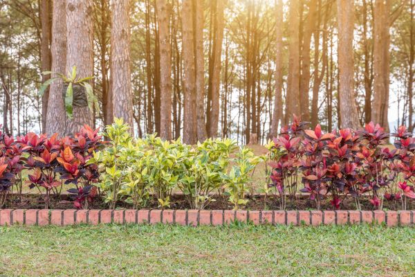 Small Garden Landscaping in Cleveland