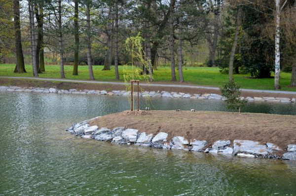 Pond Landscaping Service in Cleveland