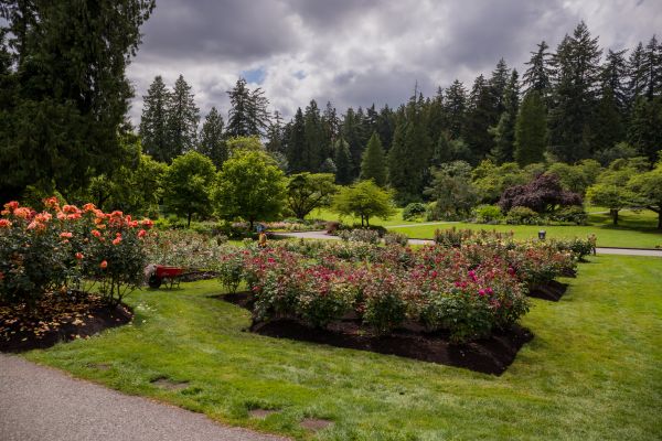 Flower Garden Landscaping in Cleveland