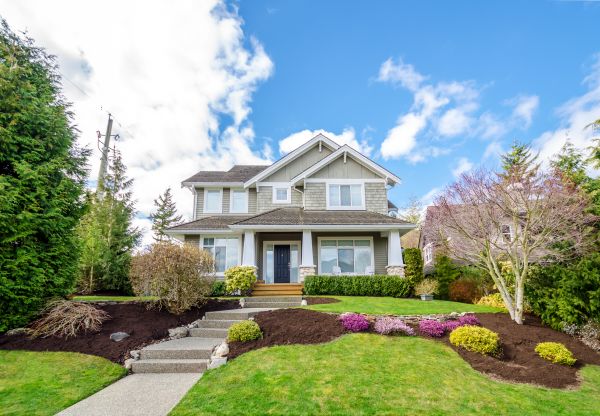 Landscaping Replacement in Cleveland