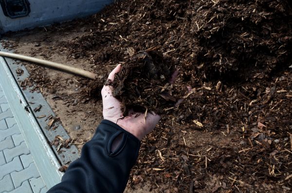 Condo Mulching in Cleveland
